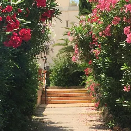 Apartman Brigitte Centre Tropez Parking Piscine Wifi Vue